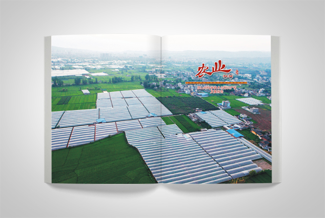 ��ҵ�������