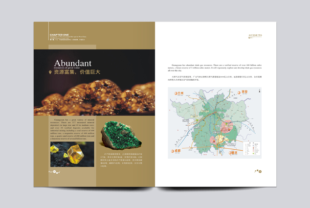 ��˾����