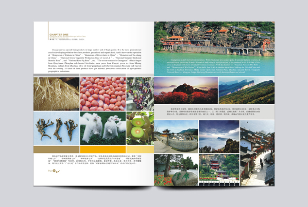 ��˾����