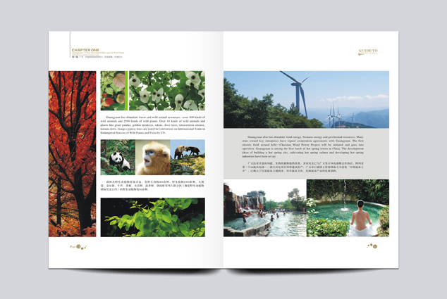 ��˾����