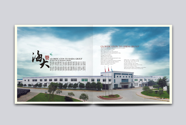 ��˾����