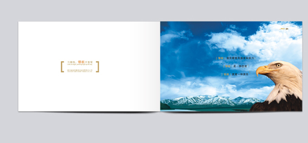 ��˾�����������