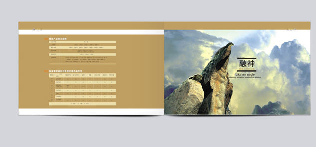 ��˾�����������