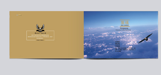 ��˾�����������